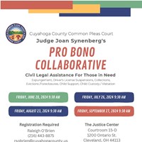 Pro Bono Collaborative Schedules Sessions