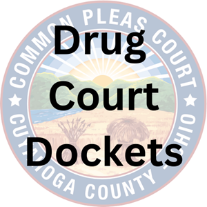 Drug Court Dockets CCCCP Drug Court Dockets CCCCP